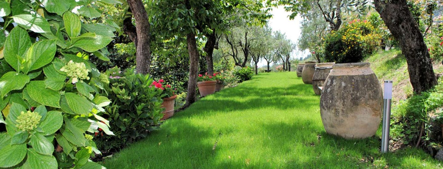 Agriturismo für einen Cinque Terre Urlaub auf einem Weinberg  | Agriturismo im Cinque Terre Gebiet