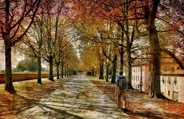 Chambres D Hotes A Lucques