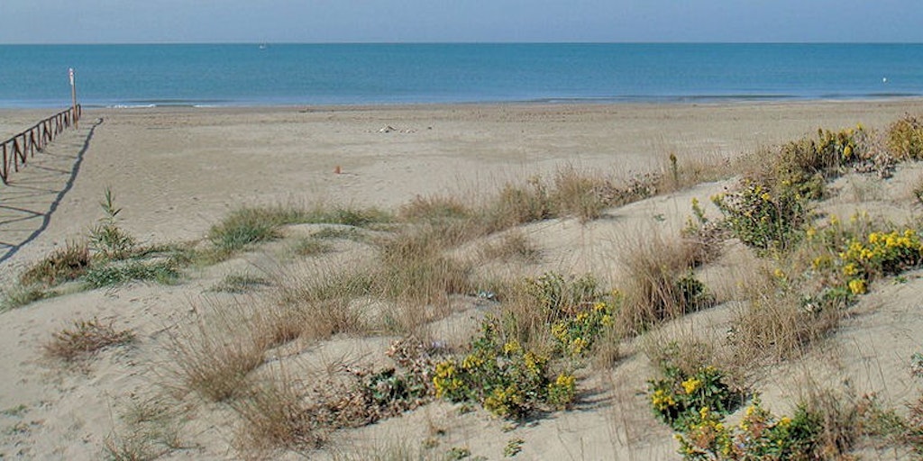 The beach in Calambrone