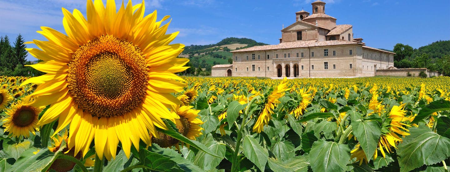 Ferieboliger i Marche | Marche er nabo til Toscana og Umbria