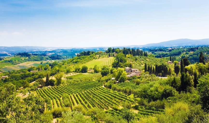 Carmignano Tuscany vacation | Book hotel / apartment here