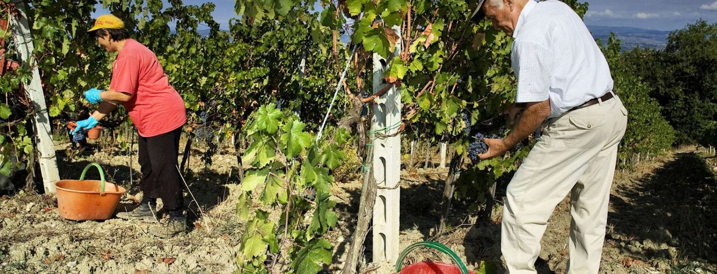 Valpolicella agriturismo | Spendera semestern bland vinrankorna på en agriturismo i Valpolicella