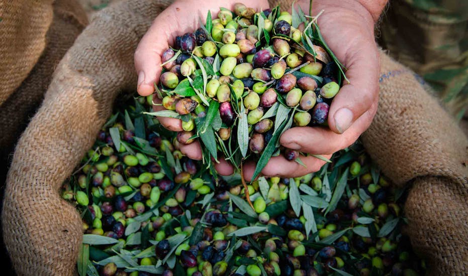 Urlaub in San Cipriano Picentino Escapeaway