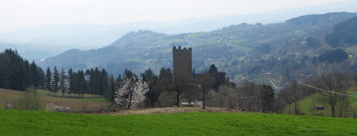 Upplev Borgo alla Collina i Toscana