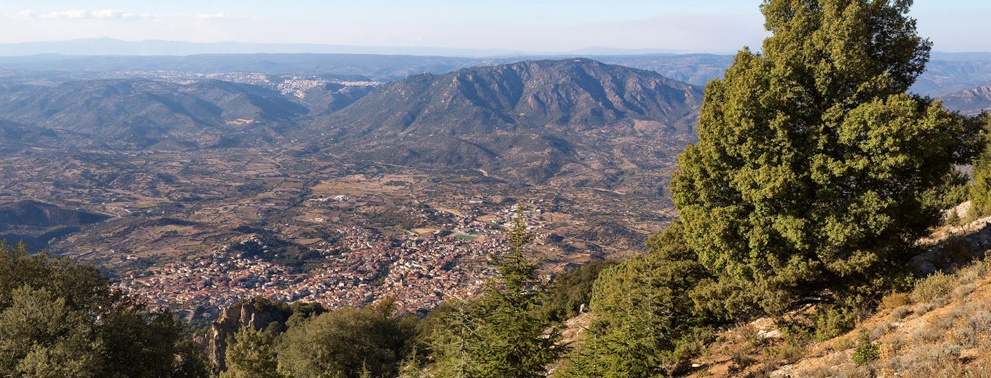 Stad Oliena Monte Corrasi bergen Sardinien Italien