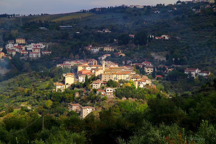 Rejser til Pelago Book ferie nu på Escapeaway.dk