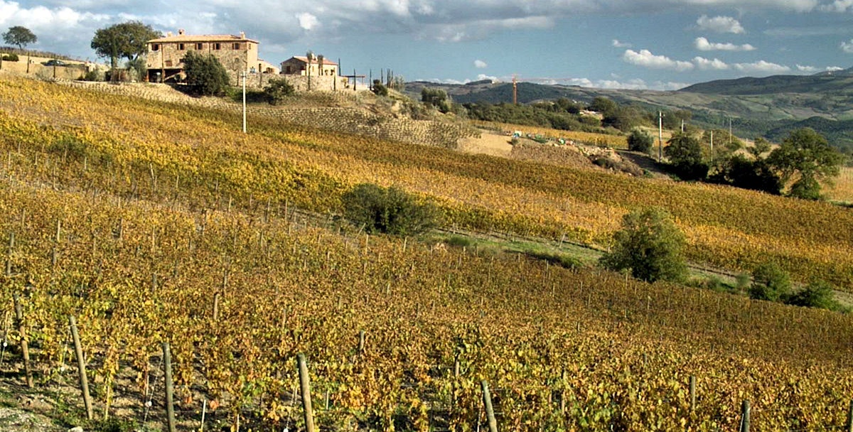 Die Grossen Weingebiete Italiens In Italia De