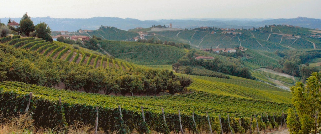 Fattoria San Giuliano - Hotel in Neive in Piemont