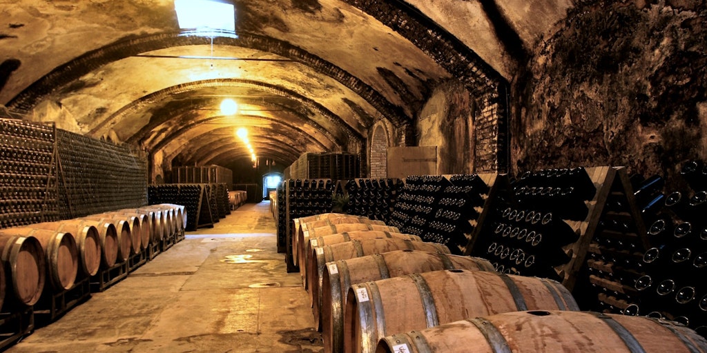 <p>The wine cellar at Villa Sparina</p>
