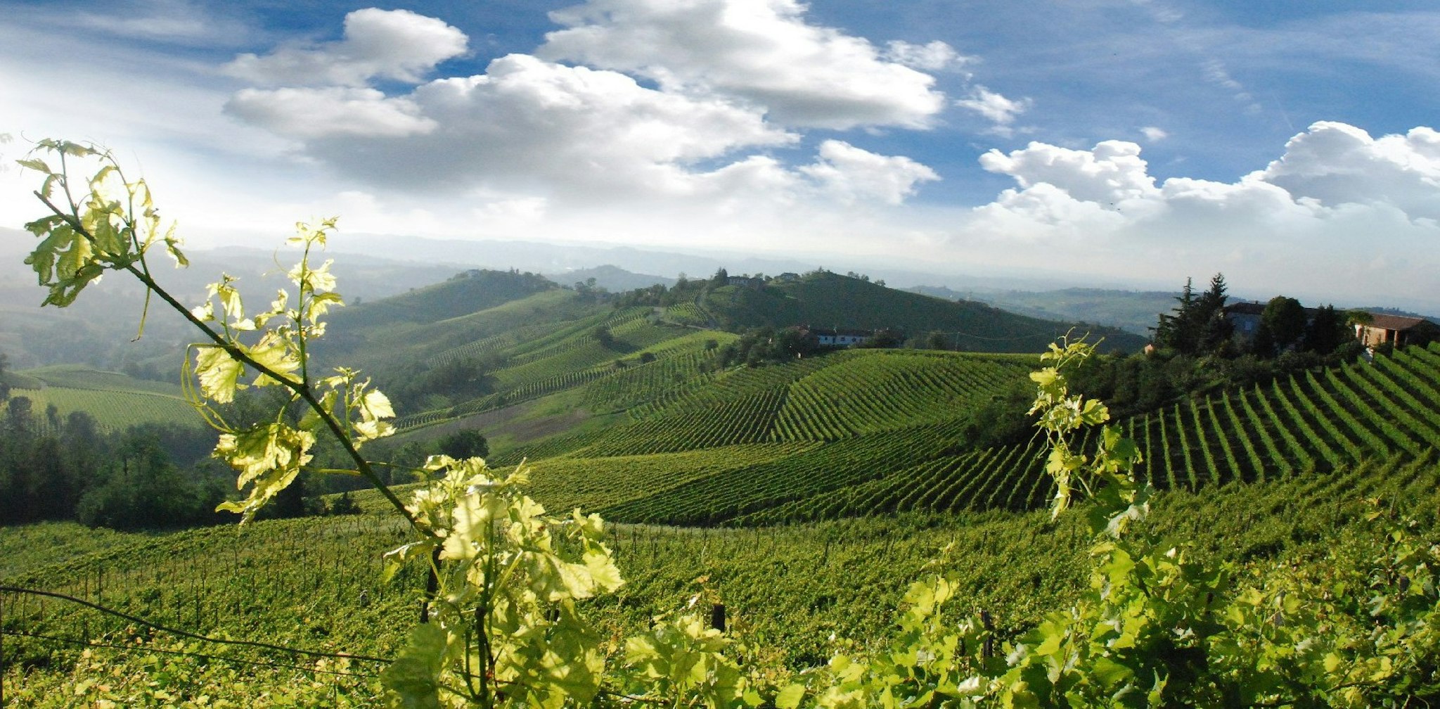 H  tels Appartements Vignoble des Langhe Pi  mont