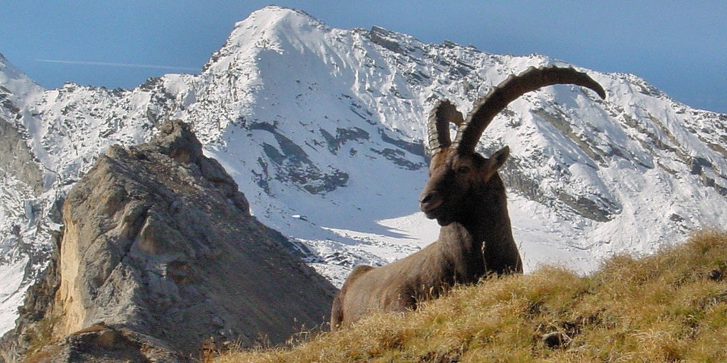 Great nature experiences await you in Aosta Valley