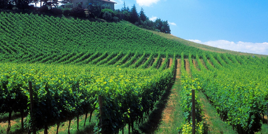 Wine district Franciacorta
