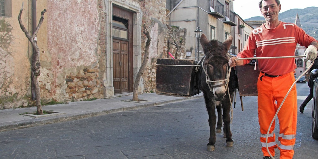 Mario leads the donkey Valentina in city streets