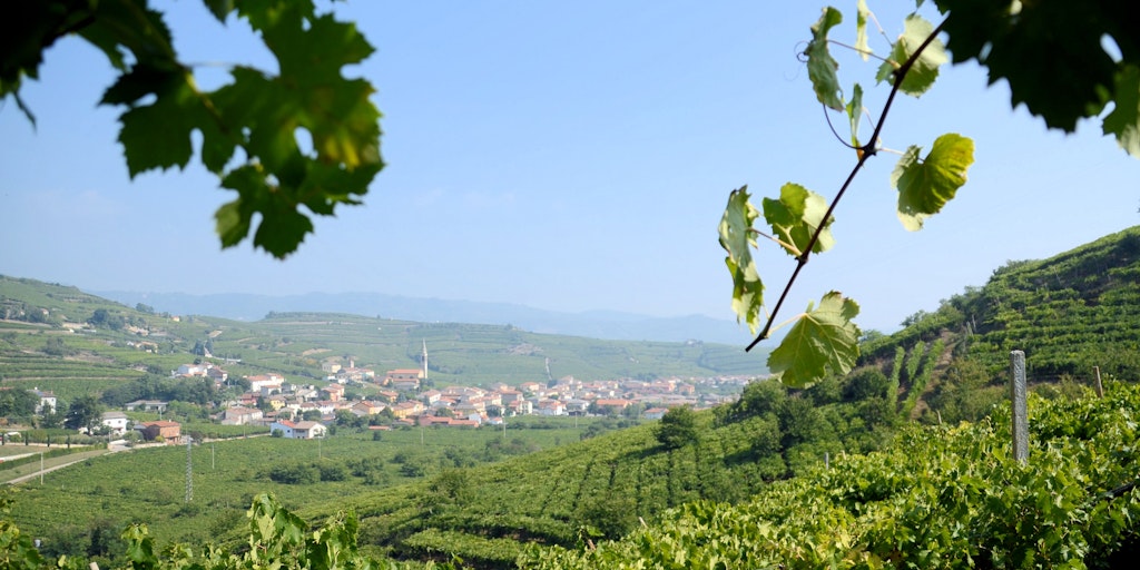 Fine interaction between vineyards and villages