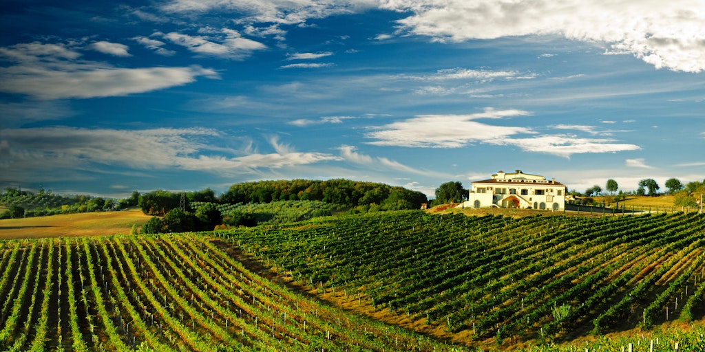 Vineyards in Chianti