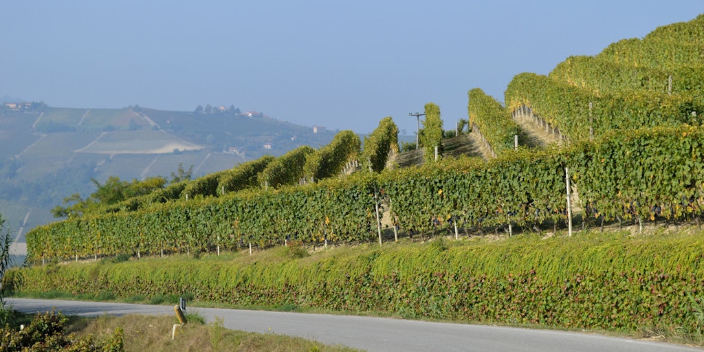Vue panoramique sur la région viticole